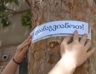  გარემოს დაცვის საერთაშორისო დღე